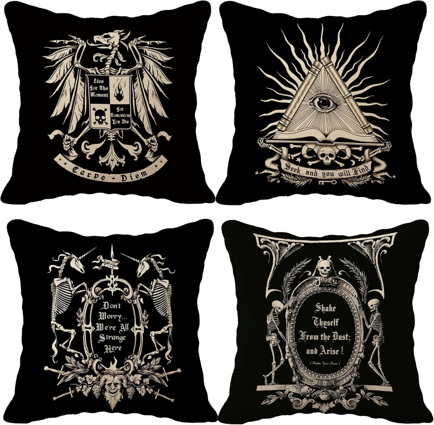 RB Dark Memento Mori Gothic Macabre Undead Art Pillow Cover 18×18