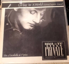 Private Lives Living in a World Turned Upside Down 12" Vinyl Record NEWWAVE OOP