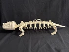 Battle Bones Vintage Masters of the Universe MOTU He-Man 1984 Carry Case