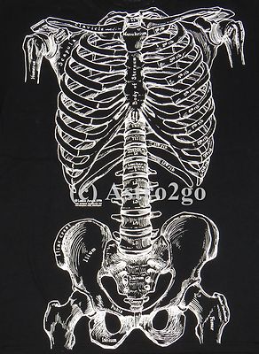 BONES-Leslie Arwin Skeleton Anatomy Biology Life Science Medical 2
