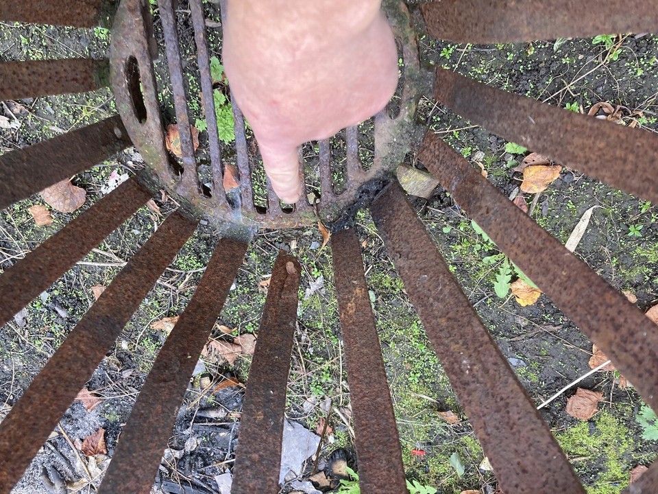 Fire Basket/garden Fire/fire Pit eBay