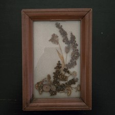 Vintage Pressed Dried Flowers Wood Frame Wall Art Framed Decor