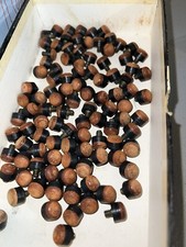 100 11mm Dia Screw-on Pool Cue Tip Replacement Billiard Stick Tips Brown Hard