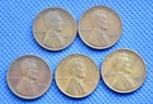 Lot of 1914 VG 1926 XF 1928-D VF 1929 VF 1929-D F  5 Lincoln Wheat Cents   N1604