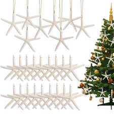 20PCS Christmas Starfish Ornaments Ready to Hang 3"-4'' Natural Starfish Deco...