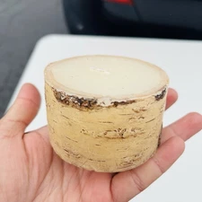 Small Pottery Barn Birch Bark Real Wax Pillar Candle Unscented 2” x 3” New