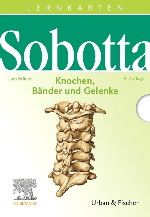 Thumbnail - Knochen, Bänder Und Gelenke, Lernkarten | Johannes Sobotta | Deutsch |