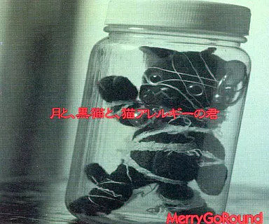 Japanese Music CD Merry-Go-Round / The Moon, the Black Cat, and You with Cat