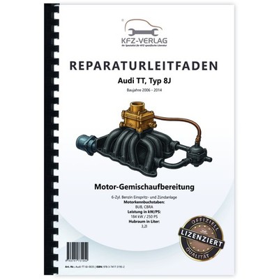 Audi TT, Typ 8J (06-14) Benziner Einspritz/Zündanlage 3,2l - Reparaturanleitung