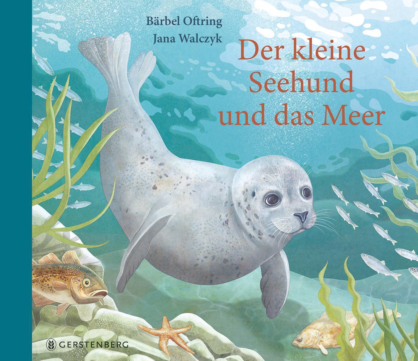 Thumbnail - Der Kleine Seehund Und Das Meer, Bärbel Oftring
