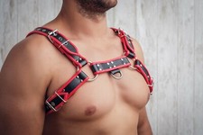 Amazing red black harness, bulldog harness, bulldog Leather harness, brutal