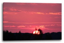 Canvas/Frames Landscapes images nature images mural sunset pink pink