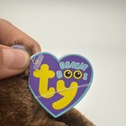 Foto 5 di 7