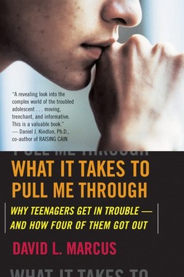 What It Takes To Pull Me Through: Why Teenagers Get in Trouble and How Four ...