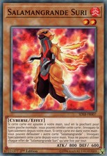 Yu-Gi-Oh: Suri Salamangrande | SDSB-FR007 | Commune | NM | FR