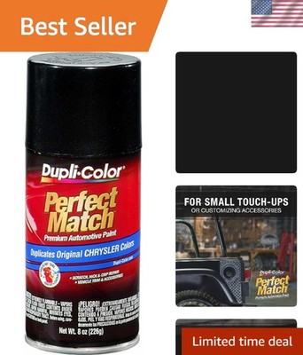 8 oz. Fast-Drying Acrylic Spray Paint for Chrysler - Brilliant Black Finish
