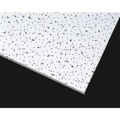 Armstrong 608A Ceramaguard Ceiling Tile, 24 In W X 48 In L, Square Lay-In,