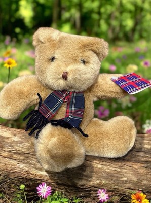 Lloyds Chemists Teddybär mit Schottenkaro Schal nicht mehr produziert Plüschtier Stofftier ETIKETT NEU