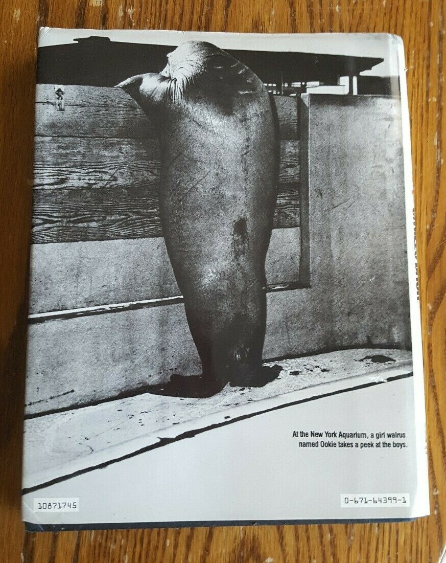 Life magazine book, LIFE SMILES BACK, Philip B. Kunhardt, Jr