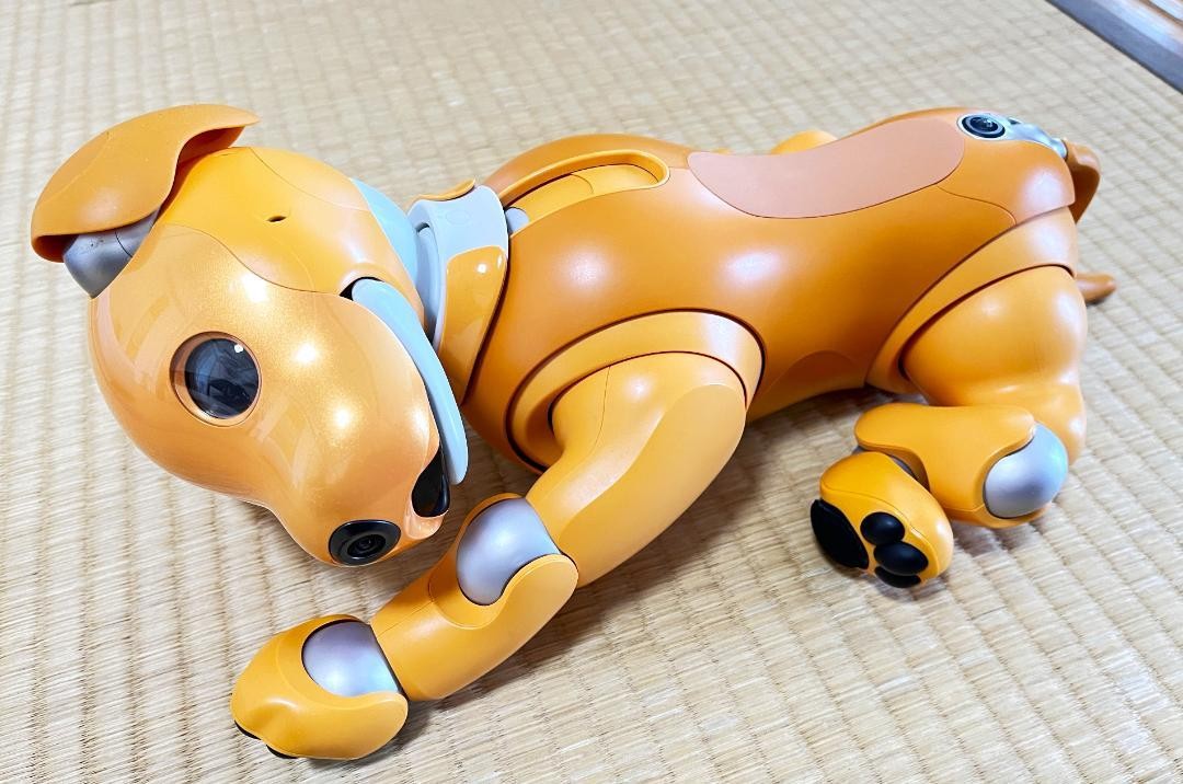 aibo 「ERS-1000」キャラメルエディション 付属品あり Aibo ERS-1000 Caramel Edition Accessories Sony Operation