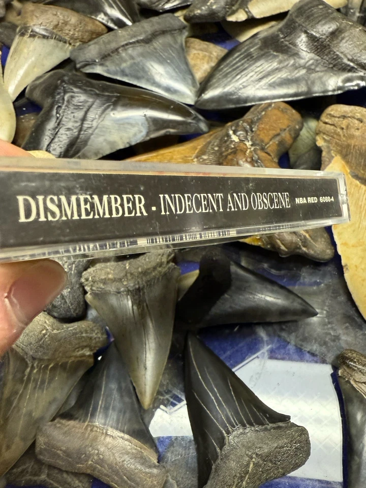 1993 DISMEMBER INDECENT AND OBSCENE DEATH METAL CASSETTE STOCKHOLM SWEDEN - Image 4 of 4