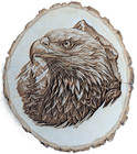 American Eagle Wooden Wall Art