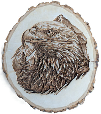 American Eagle Wooden Wall Art