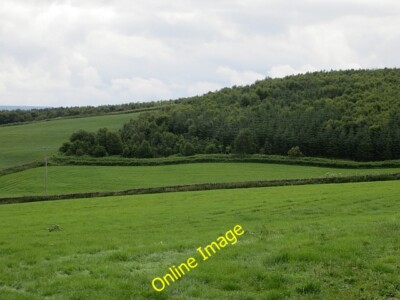 Photo 6x4 Hill Rigg Aiketgate Part of extensive woodland near Priory ...