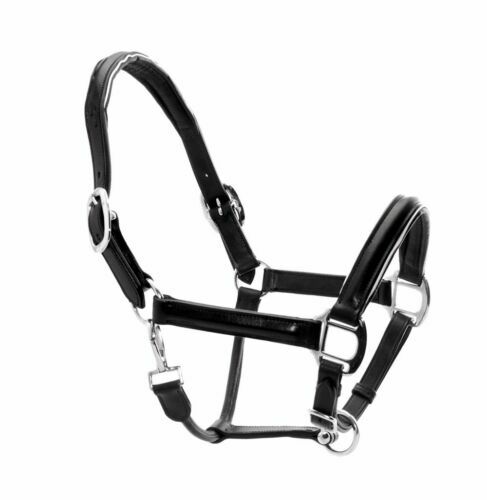 EQUESTRO - Cavezza In Nylon A Doppia Regolazione E Imbottitura In Pile Con Lunghina Cob 37030 1 - Foto 8