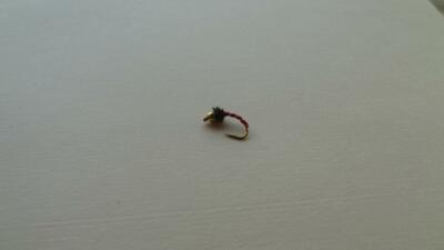 1 DOZ DF-5 BEAD HEAD DISCO MIDGE BLACK (SELECT YOUR SIZE) NYMPH
