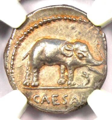 Julius Caesar AR Denarius Silver Elephant Coin 49 BC NGC Choice AU - 5/5 Surface