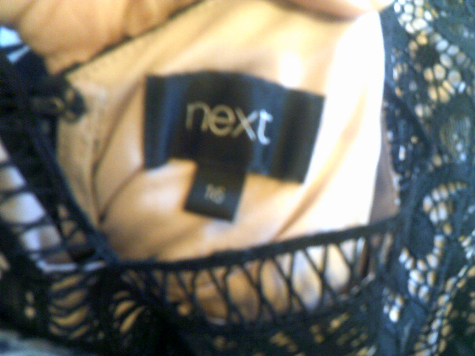 Picture 8 of 8