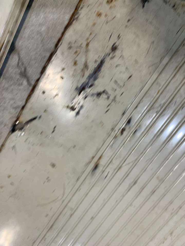 1967 1972 C10 C20 C30 Blazer Jimmy Door Paneles Lote Proyectos Ásperos 1968 1969 1970 Foto 3 de 4