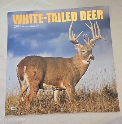 White-Tailed Deer 2018 18 Month Calendar BrownTrout Bucks Hunting Racks