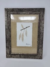 Dried Leaves Branch Real Pressed Framed And Matted Briful Eucalyptus Signed