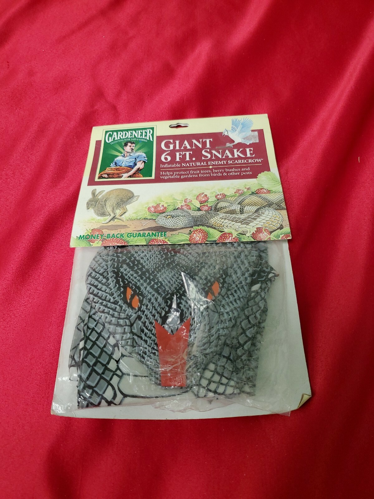 inflatable pool anaconda