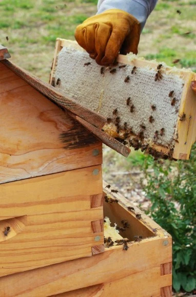 2 x Hexagonal 2x Beehive Beeswax Pillar Altar Table Church Classic Votive Candle - Image 3 of 4