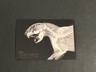 2024 Topps Allen & Ginter Cape Porcupine #XR-12 X-Ray'd Oregon Zoo