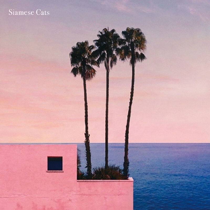 Сиамские кошки/Мне все нравится таким, какой оно есть TETRA1007 New 7"