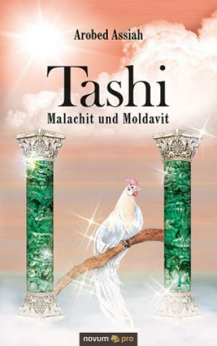Thumbnail - Tashi - Malachit Und Moldavit 6310