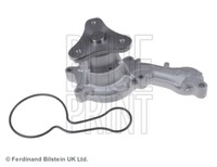 Blue Print ADH29136 Water Pump For Honda Honda (Gac)