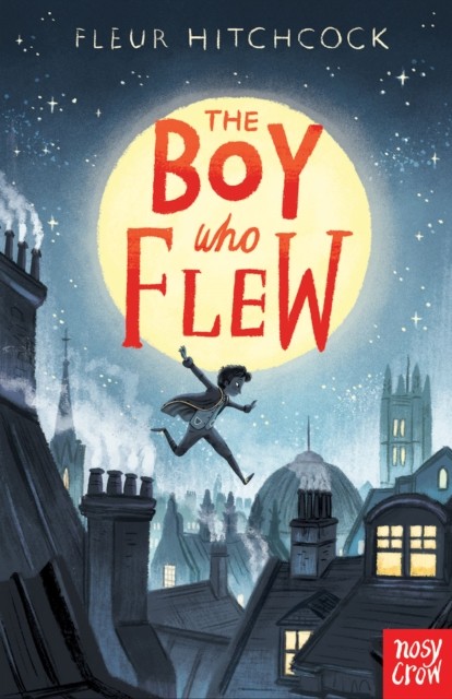 The Boy Who Flew by Fleur Hitchcock (Paperback Book)
