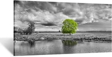 KREATIVE ARTS Canvas Wall Art Paintings Green Tree Landscape in Black and White