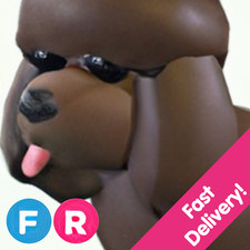Irish Water Spaniel   Fly Ride FR   US Seller Adopt From Me Today