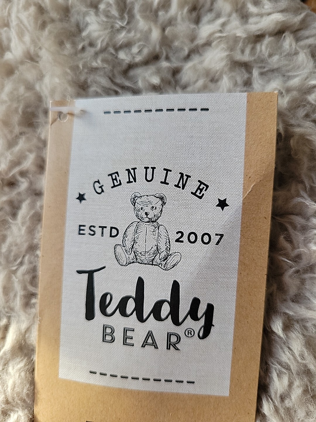 Dunelm Teddy Bear hot water bottle eBay