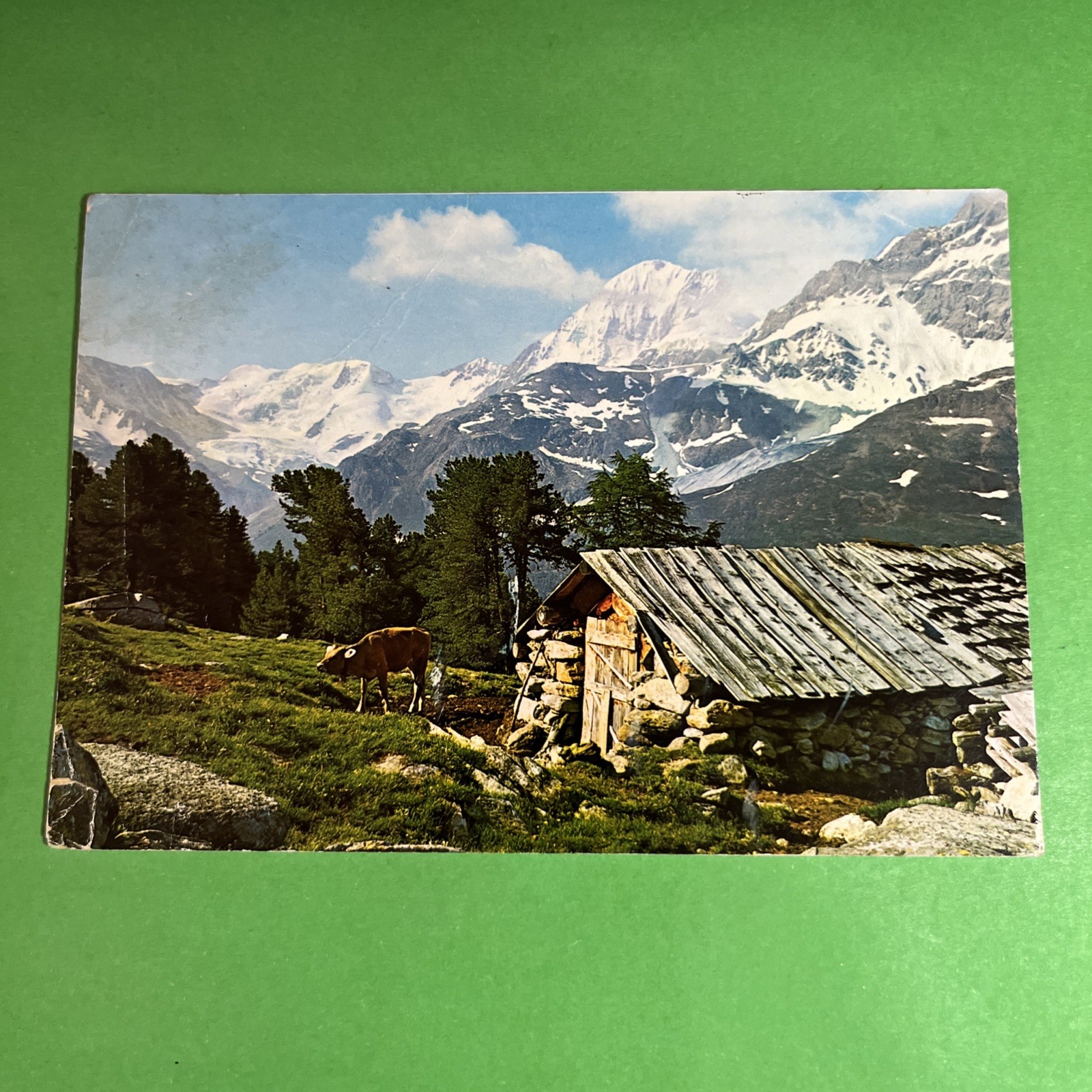 SOLDA IL GRAN ZEBRU' VIAGGIATA  - CARTOLINA A COLORI COLLEZIONE