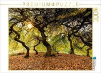 Calvendo Puzzle Witches' Forest | 2000 Pieces, Finished Size 35.4 × 26.4 In (90