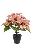 Artplants Kunstblume Weihnachtsstern Grulen Im Dekotopf, Pfirsich, 40Cm