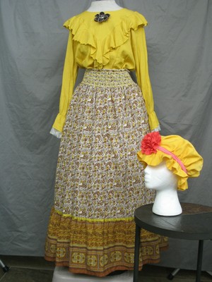 victorian western dresses