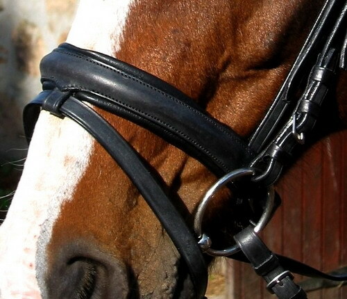 Bride De Dressage Avec Mors Flashy Comfort Crown Crank, Mors Cavesson, Rembourrage Jaune